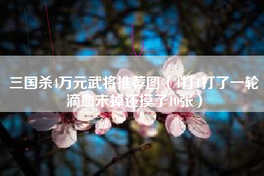 三国杀4万元武将推荐图（4打1打了一轮滴血未掉还摸了10张）