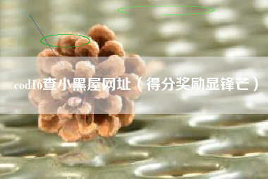cod16查小黑屋网址（得分奖励显锋芒）