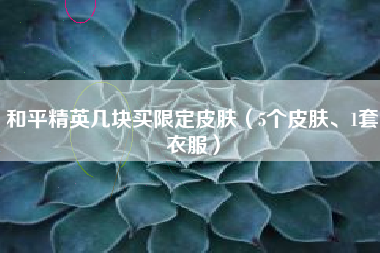 和平精英几块买限定皮肤（5个皮肤、1套衣服）