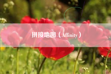 拼接地图（Affinity）