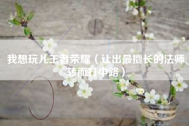 我想玩儿王者荣耀（让出最擅长的法师转而打中路）