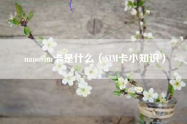 nanosim卡是什么（SIM卡小知识）