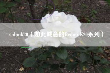 redmik20（如此诚意的Redmi K20系列）