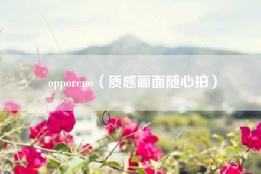 opporeno（质感画面随心拍）