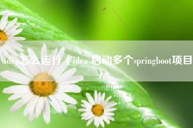 idea怎么运行（idea 启动多个springboot项目）