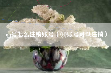 qq号怎么注销账号（QQ账号可以注销）