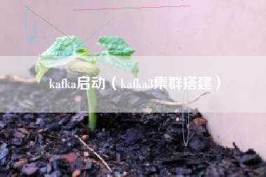 kafka启动（kafka3集群搭建）