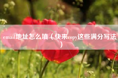 email地址怎么填（快来copy这些满分写法）