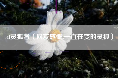 cf灵狐者（网友感慨:一直在变的灵狐）