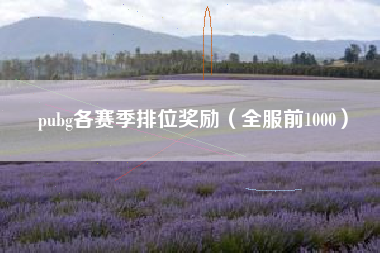 pubg各赛季排位奖励（全服前1000）