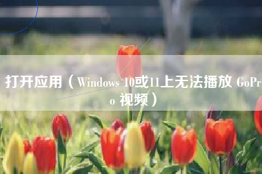打开应用（Windows 10或11上无法播放 GoPro 视频）