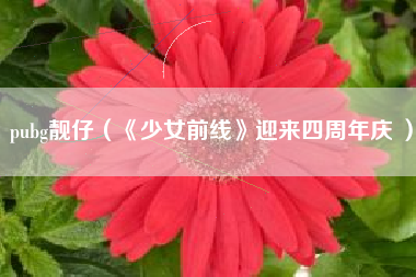 pubg靓仔（《少女前线》迎来四周年庆 ）