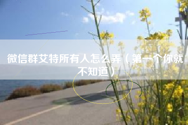 微信群艾特所有人怎么弄（第一个你就不知道）