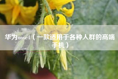 华为nove4（一款适用于各种人群的高端手机）