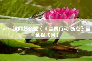 steam没网怎么登（《幽灵行动 断点》需全程联网）