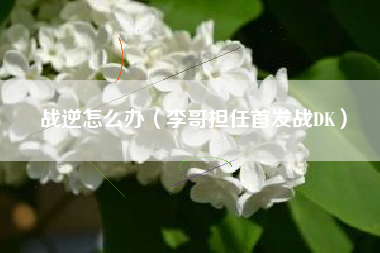 战逆怎么办（李哥担任首发战DK）