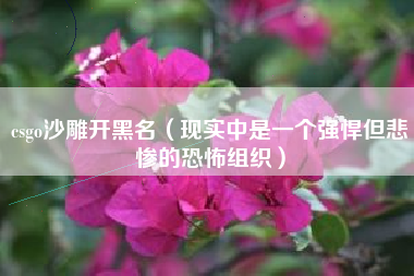 csgo沙雕开黑名（现实中是一个强悍但悲惨的恐怖组织）