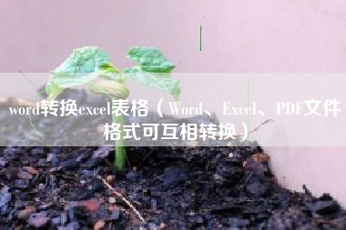 word转换excel表格（Word、Excel、PDF文件格式可互相转换）