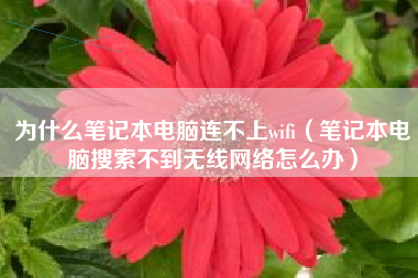 为什么笔记本电脑连不上wifi（笔记本电脑搜索不到无线网络怎么办）