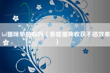 lol猫咪单挑弱吗（泰隆猫咪收获不错效果）