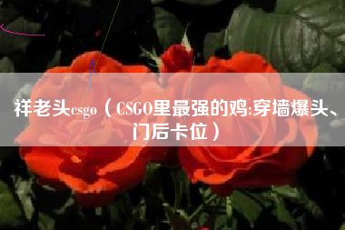 祥老头csgo（CSGO里最强的鸡:穿墙爆头、门后卡位）