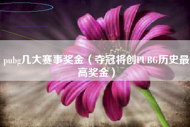 pubg几大赛事奖金（夺冠将创PUBG历史最高奖金）