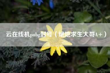 云在线机pubg封号（绝地求生大哥A+）