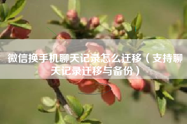 微信换手机聊天记录怎么迁移（支持聊天记录迁移与备份）