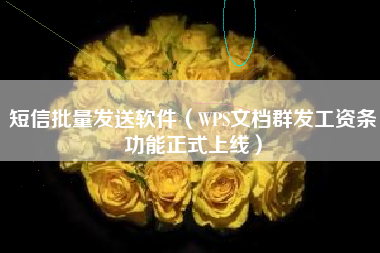 短信批量发送软件（WPS文档群发工资条功能正式上线）