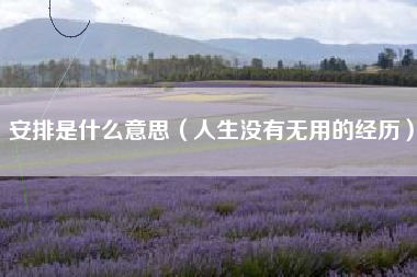 安排是什么意思（人生没有无用的经历）