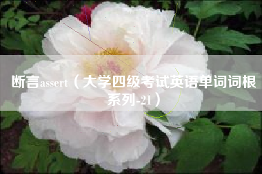 断言assert（大学四级考试英语单词词根系列-21）
