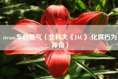 steam车的氮气（北科大《JAC》:化腐朽为神奇）