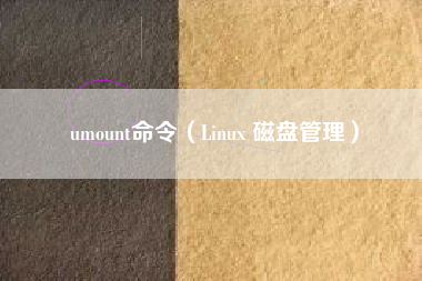 umount命令（Linux 磁盘管理）
