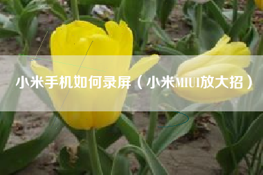 小米手机如何录屏（小米MIUI放大招）