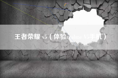 王者荣耀 v5（体验realme V5手机）