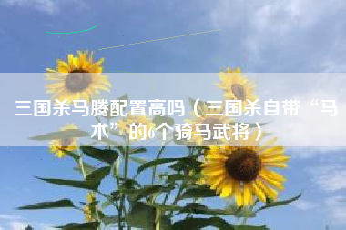三国杀马腾配置高吗（三国杀自带“马术”的6个骑马武将）