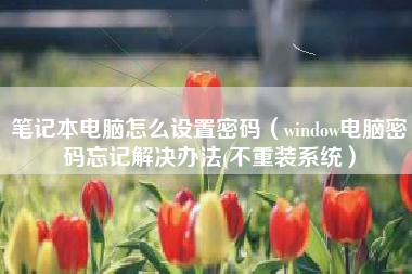 笔记本电脑怎么设置密码（window电脑密码忘记解决办法(不重装系统）