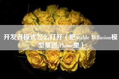 开发者模式怎么打开（把Stable Diffusion模型塞进iPhone里）