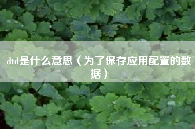 dtd是什么意思（为了保存应用配置的数据）