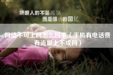 网络不可上网怎么回事（手机有电话费有流量上不成网）