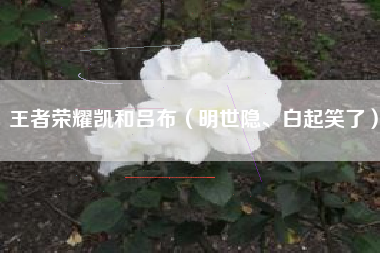 王者荣耀凯和吕布（明世隐、白起笑了）