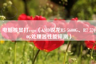电脑核显打csgo（AMD锐龙R5 5600G、R7 5700G处理器性能评测）