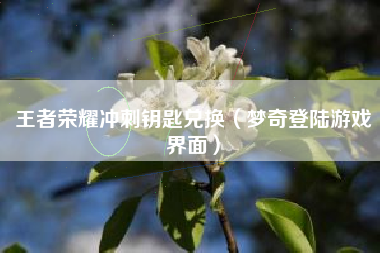 王者荣耀冲刺钥匙兑换（梦奇登陆游戏界面）
