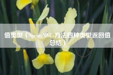 值类型（SpringMVC-方法四种类型返回值总结）