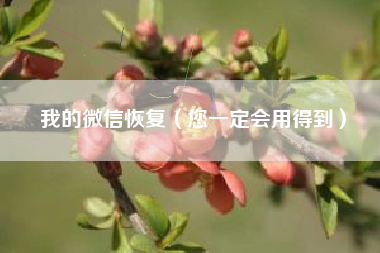 我的微信恢复（您一定会用得到）