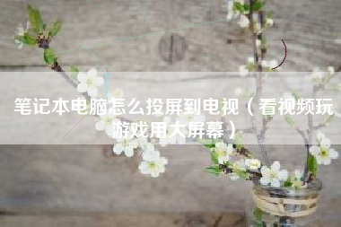 笔记本电脑怎么投屏到电视（看视频玩游戏用大屏幕）