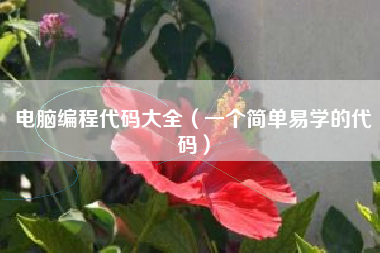 电脑编程代码大全（一个简单易学的代码）