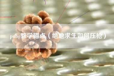 pubg教学瞄点（绝地求生如何压枪）