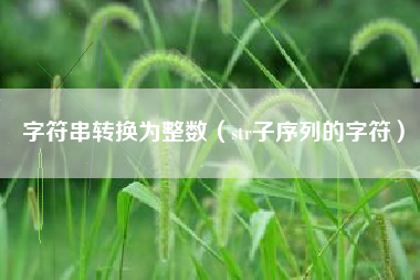 字符串转换为整数（str子序列的字符）