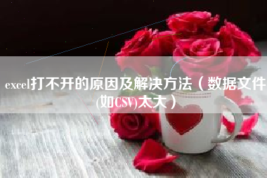 excel打不开的原因及解决方法（数据文件(如CSV)太大）